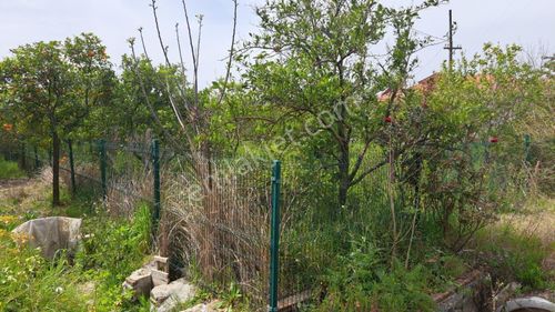 Arsa-Konut İmarlı