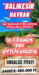 Arsa-Tarla