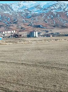 Arsa-Arazi