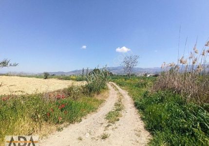 Arsa-Tarla