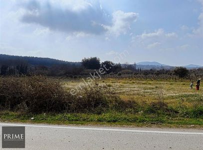Arsa-Bağ & Bahçe