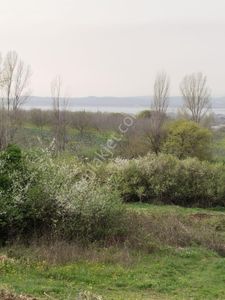 Arsa-Tarla