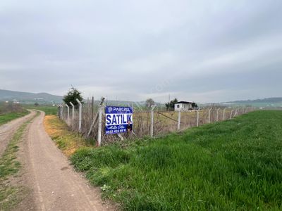 Arsa-Tarla