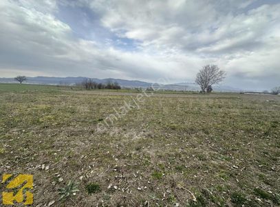 Arsa-Tarla