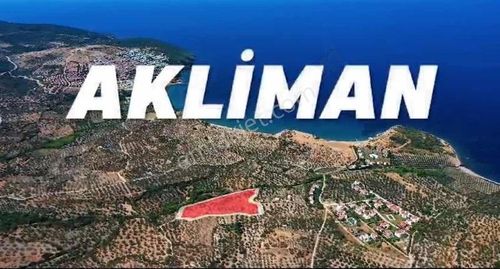 Arsa-Zeytinlik