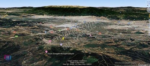 Arsa-Zeytinlik