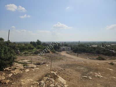 Arsa-Konut İmarlı