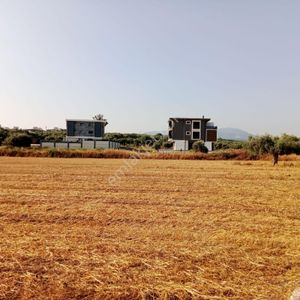 Arsa-Konut İmarlı