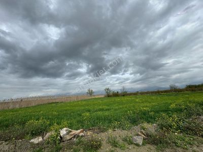 Arsa-Tarla