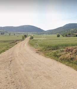 Arsa-Tarla