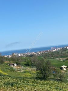 Arsa-Villa İmarlı