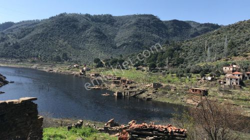 Arsa-Zeytinlik
