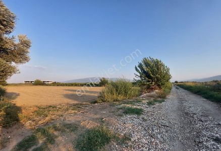 Arsa-Tarla