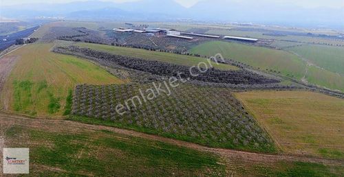 Arsa-Sanayi İmarlı