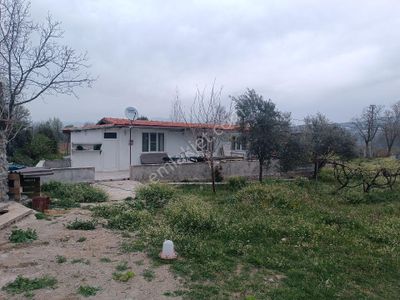 Arsa-Bağ & Bahçe