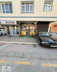 İşyeri-Dükkan & Mağaza