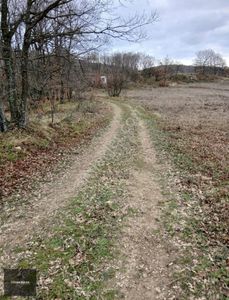 Arsa-Tarla