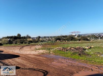 Arsa-Konut İmarlı