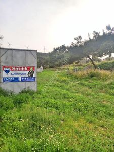Arsa-Zeytinlik