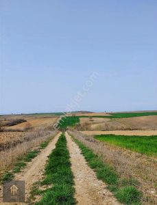 Arsa-Tarla
