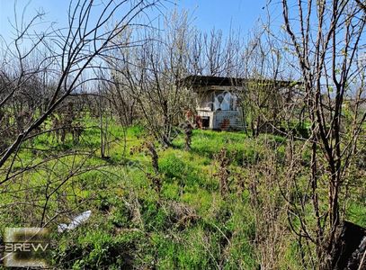 Arsa-Bağ & Bahçe