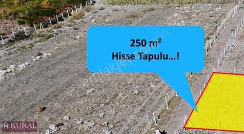 Arsa-Tarla