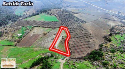 Arsa-Tarla