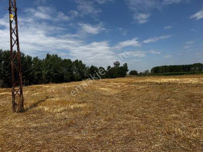 Arsa-Tarla