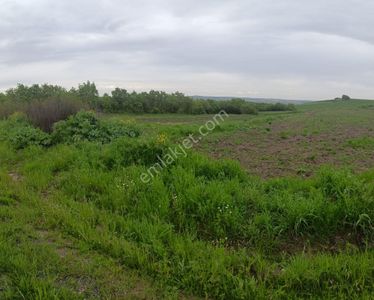 Arsa-Tarla