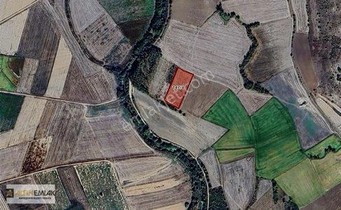 Arsa-Tarla