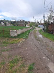 Arsa-Tarla