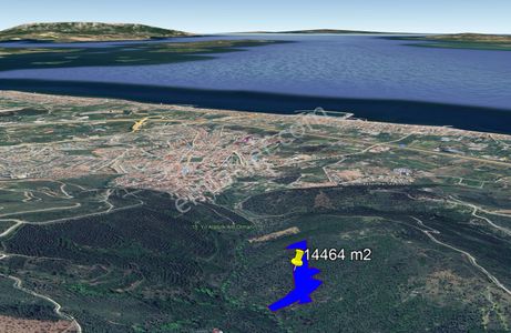 Arsa-Zeytinlik