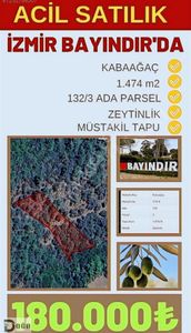 Arsa-Zeytinlik