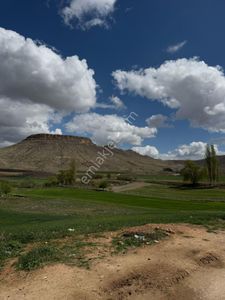 Arsa-Tarla