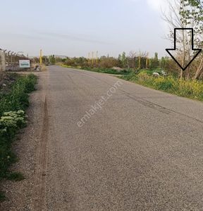 Arsa-Tarla