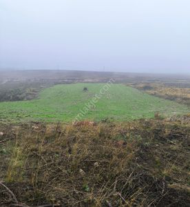 Arsa-Tarla