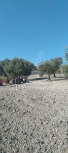 Arsa-Tarla
