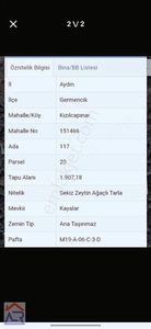 Arsa-Zeytinlik