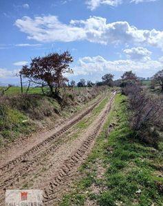 Arsa-Tarla