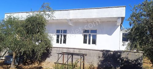 Arsa-Bağ & Bahçe