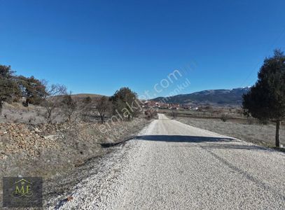 Arsa-Bağ & Bahçe