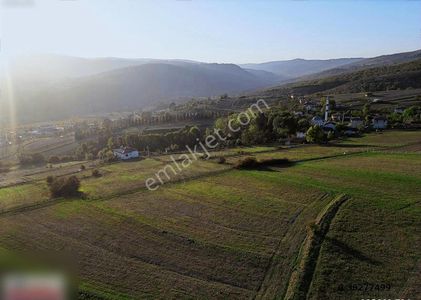 Arsa-Bağ & Bahçe