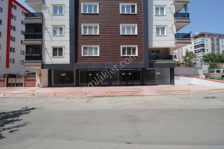 İşyeri-Dükkan & Mağaza