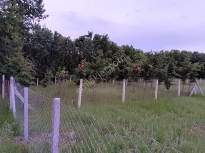 Arsa-Konut İmarlı