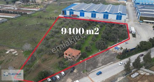 Arsa-Zeytinlik