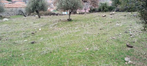 Arsa-Villa İmarlı
