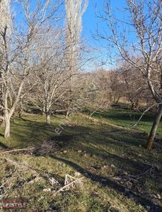 Arsa-Konut İmarlı