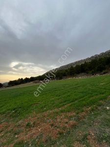 Arsa-Tarla