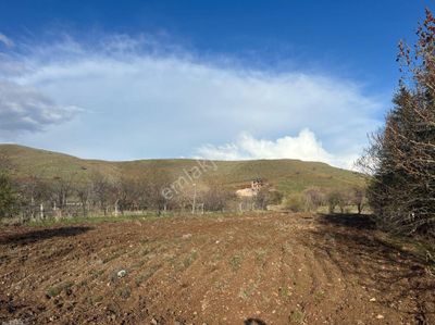 Arsa-Tarla