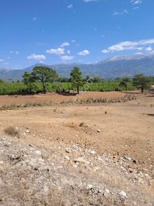 Arsa-Tarla